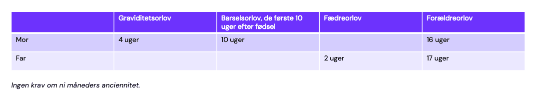 Skærmbillede 2026-02-11 kl. 13.25.02.png